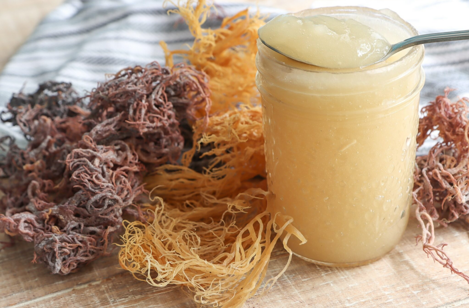 Sea Moss Gel